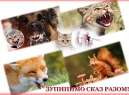 зупинимо сказ разом