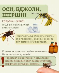 500798703 710356788592652 8164515573662860526 N