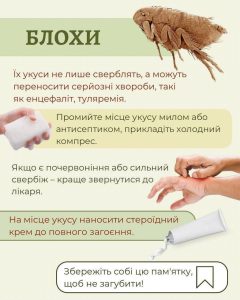 505727045 710356745259323 309572418796874067 N