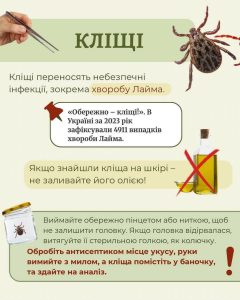 505760004 710356825259315 8189865684145509456 N