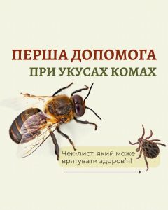 506529040 710356675259330 2114078641107693642 N