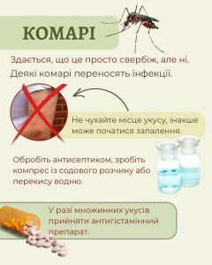 506900918 710356711925993 6505802482079881851 N