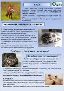 552812450 1337284464448584 6836348079619206375 N