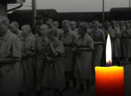 зображення Viber 2025 10 08 15 49 39 799