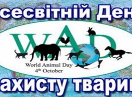 зображення Viber 2025 10 08 15 50 59 787