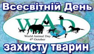 зображення Viber 2025 10 08 15 50 59 787