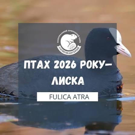 зображення Viber 2026 09 28 08 50 19 678